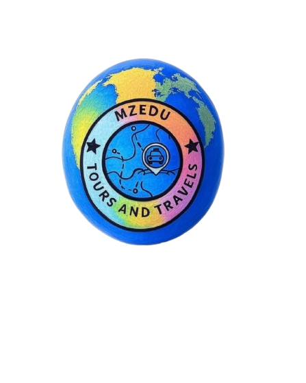 MZEDU Tours and Travels Logo